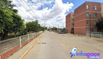 Servicios Técnicos Forestales y Agrícolas (setefa) - San Jerónimo Yahuiche