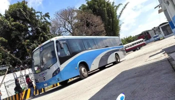 Sociedad Cooperativa de Autobuses Excelsior Xalapa Coatepec Xico S. de R.l. de C.v. - Coatepec