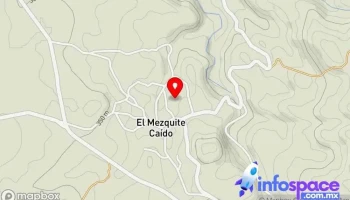 Techovampo - El Mezquite Caído