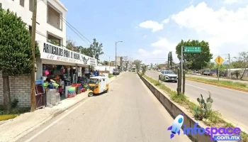 tecnologias avanzadas y pofesionales en control de plagas urbanas s.a de c.v - San Sebastián Tutla