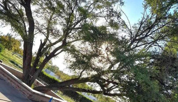 Tecnológico Nacional de México Campus Ciudad Jiménez - José Mariano Jiménez