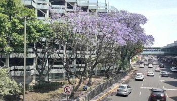Terminal 1 Estacionamiento - Venustiano Carranza, Ciudad De México