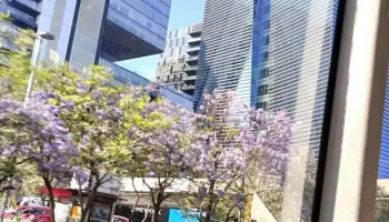 Terminal Centro Comercial Santa Fé - Ciudad De México