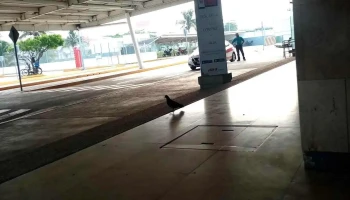 Terminal de autobuses Ado - Villas Del Sur