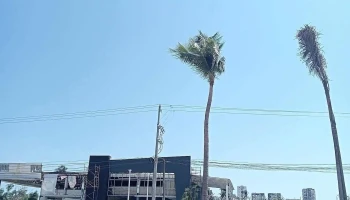 Terminal Etn Turistar Diamante - Granjas Del Marqués