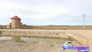 Terminel Los Mochis (Flor Azul) - Flor Azul