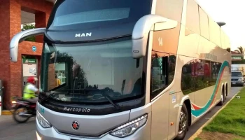 Tlpremium buses - 20200 La Loma De Los Negritos