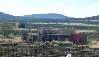 Viñedos Puerta del Lobo Querétaro - 76249 El Lobo