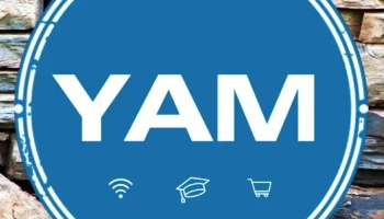 Yam Solution service consulting - Tejupilco De Hidalgo