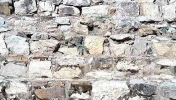 Zona Arqueológica de Yucuita - San Juan Yucuita