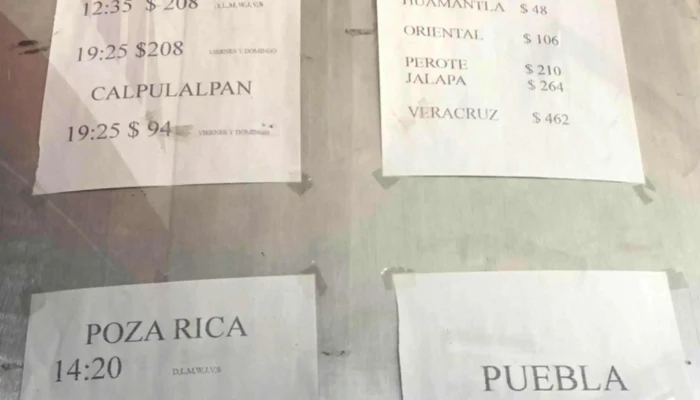 Ado Apizaco -  Videos - Cdad. de Apizaco