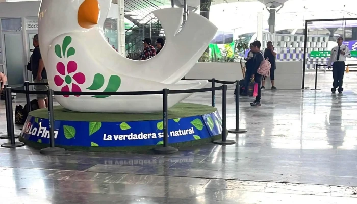 Ado - Gustavo A. Madero, Ciudad De México