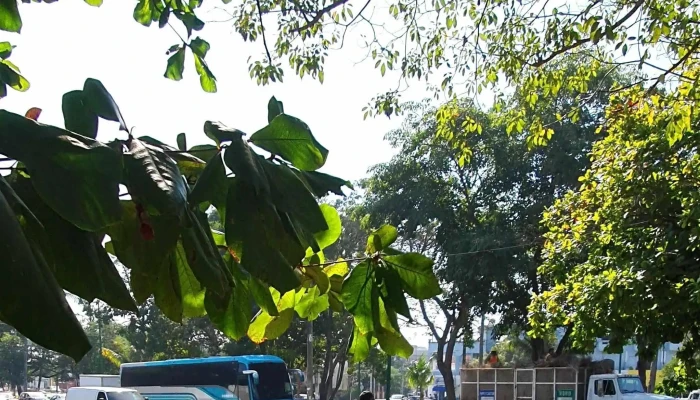 Ado Huatulco -  Como Llegar - Oaxaca de Juárez
