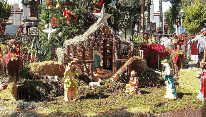 Ado Plaza Jardin -  Direccion - Valle de Chalco Solidaridad