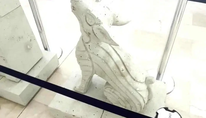Aeropuerto Internacional De Oaxaca -  Mas Recientes - Oaxaca de Juárez