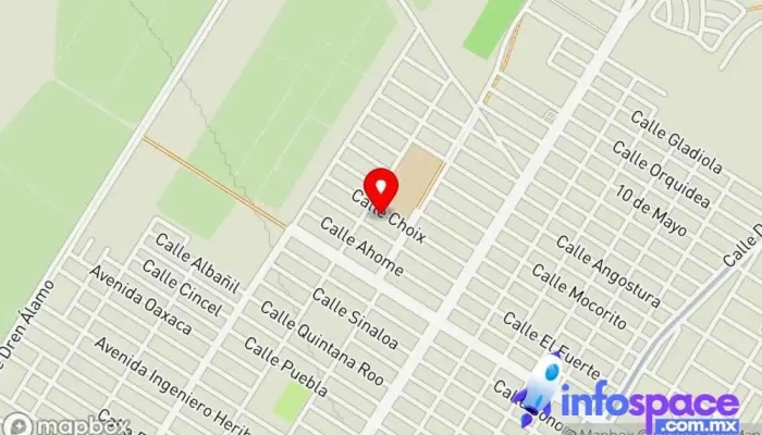 mapa de Agencia y Resultados Servicio de marketing por Internet en Los Mochis