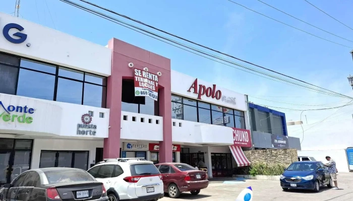Apolo Platinum -  Mas Recientes - Mazatlán