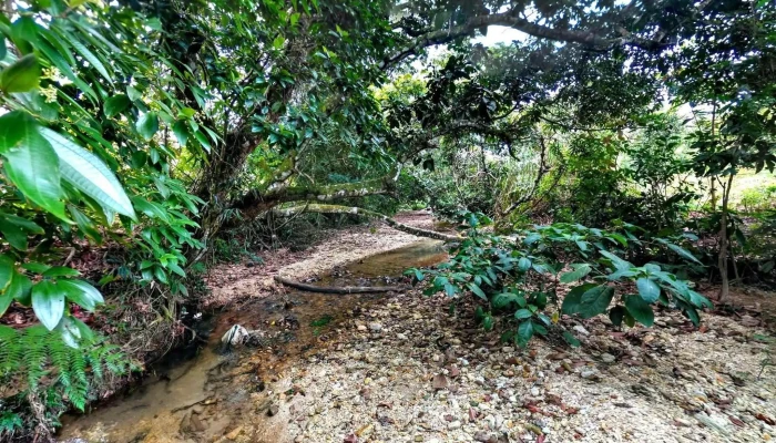 Arroyo Limon Fotosdeg - Arroyo Limón