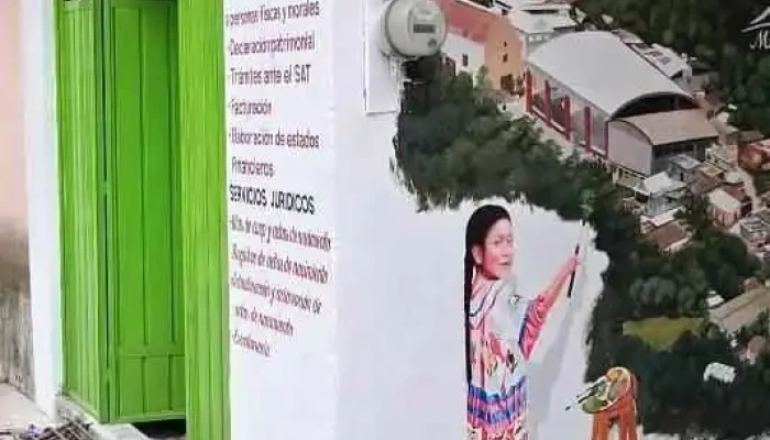 Asesoria Contable Mh Del Propietario - San José Tenango