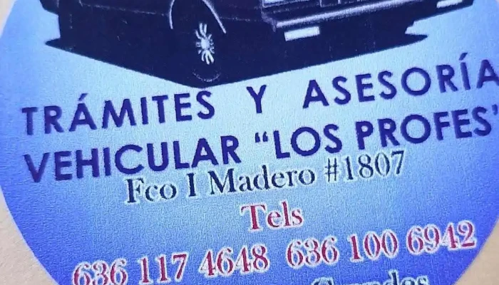 Asesoria Vehicular Los Profes Del Propietario - Nuevo Casas Grandes