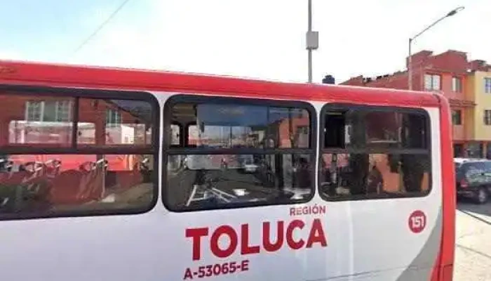 Asesorias Y Cursos Para Ingreso Promocion - Villa de Almoloya de Juárez