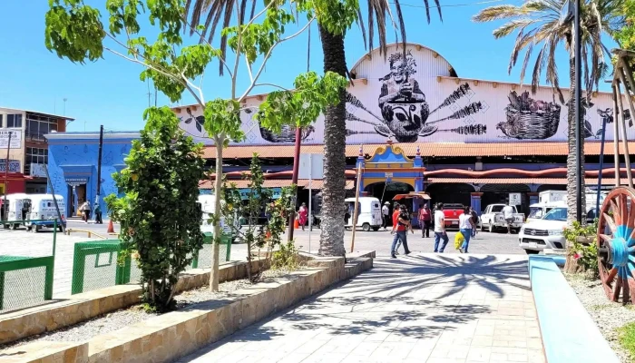 Autobuses Automorsa a Ocotlan - Oaxaca De Juárez