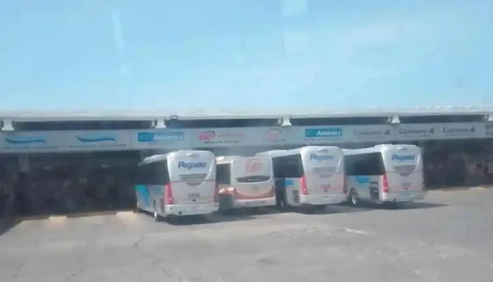 Autobuses Caminante - Atlacomulco De Fabela