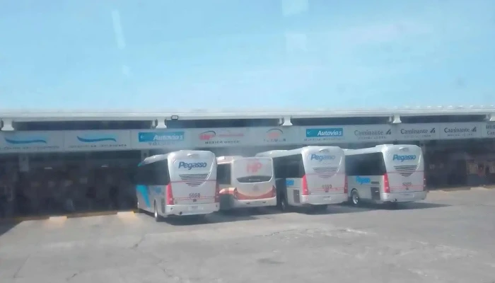 Autobuses Caminante -  Instagram - Atlacomulco de Fabela