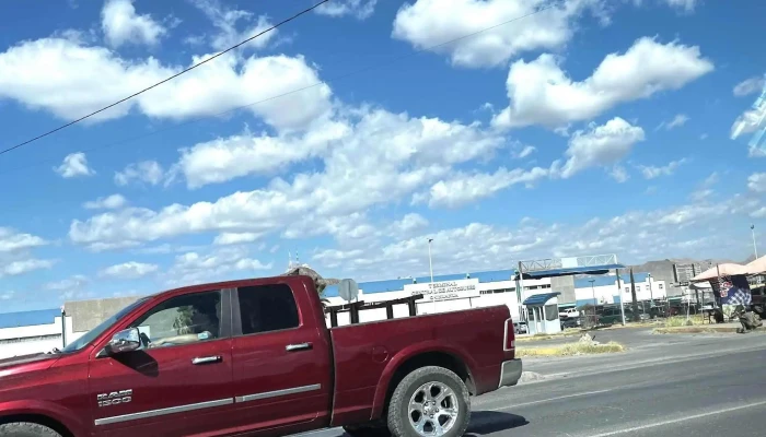 Autobuses Chihuahuenses Chihuahua -  Videos - Chihuahua