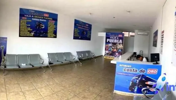 Autobuses Costa De Oro -  Del Propietario - Mazatlán