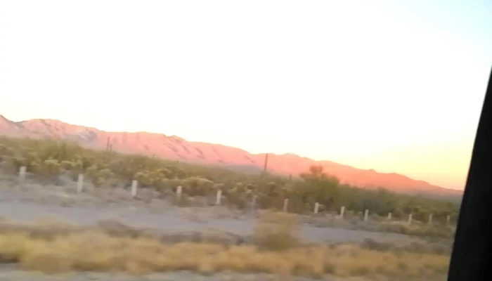Autobuses Del Evora -  Direccion - Los Mochis