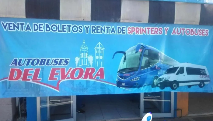 Autobuses Del Evora Sinaloa De Leyva -  Barcelona Bus Turistic - Sinaloa de Leyva