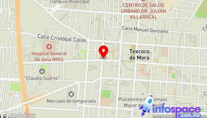 mapa de Autobuses del Valle de México, división Vans y Combis Central de abastos de Ecatepec y Mexipuerto Ciudad Azteca Texcoco Servicio de transporte en Texcoco de Mora