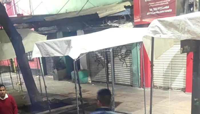 Autobuses Dolphin -  Precios - Oaxaca de Juárez