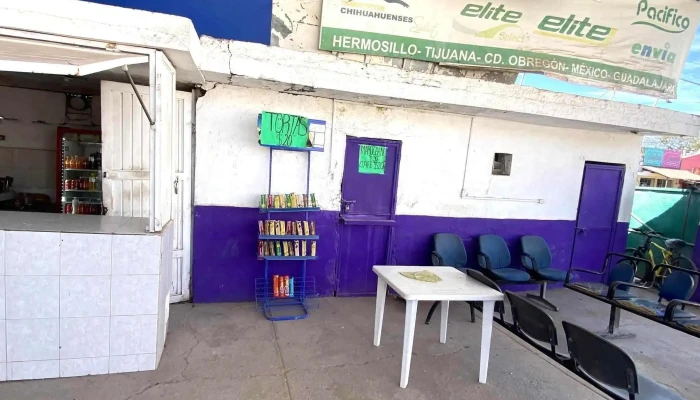 Autobuses Estrella Blanca -  Como Llegar - Guamúchil