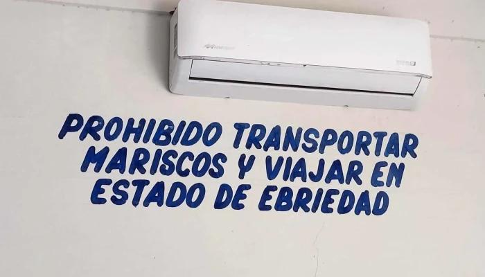 Autobuses Fletes Y Pasajes Fypsa Salina Cruz - Salina Cruz