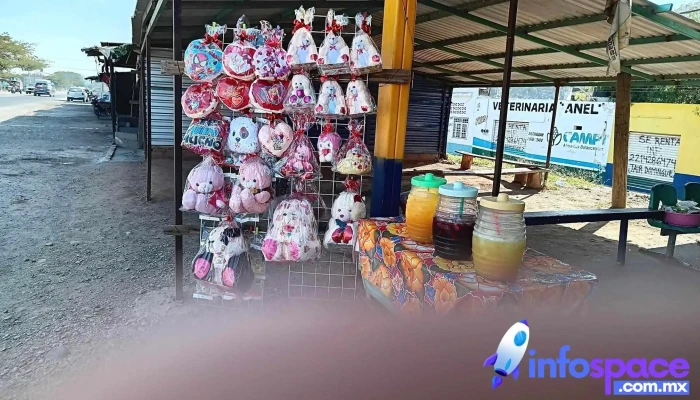 Autobuses Fletes Y Pasajes Fypsa Tehuantepec -  Instagram - Santo Domingo Tehuantepec