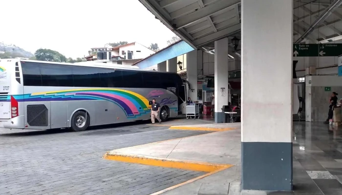 Autobuses Futura Estrella Blanca Promocion - Taxco de Alarcón