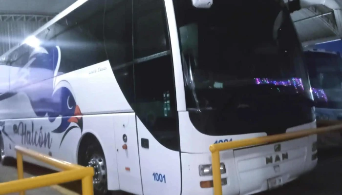 Autobuses Halcon De Huixtepec Terminal San Pablo Cerca De Mi - San Pablo Huixtepec