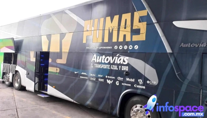 Autobuses La Linea Videos - Álvaro Obregón, Ciudad de México