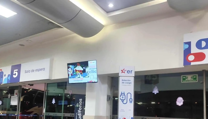 Autobuses Mexico Puebla Estrella Roja Sa De Cv Instagram - Coyoacán, Ciudad de México