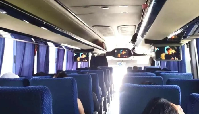 Autobuses Oro -  Autobus - Cuernavaca