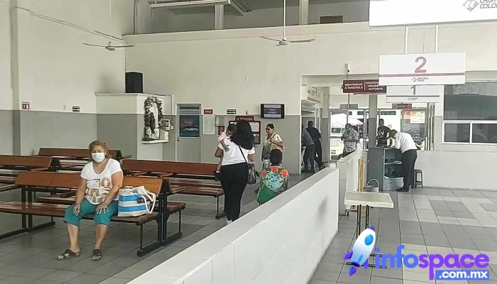 Autobuses Rscristobal Colon Terminal Tapachula Videos - Tapachula de Córdova y Ordóñez