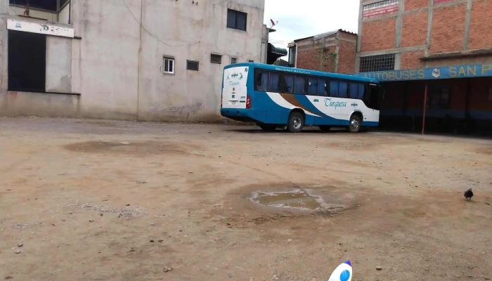 Autobuses San Pedro El Alto -  Autobus - Oaxaca de Juárez
