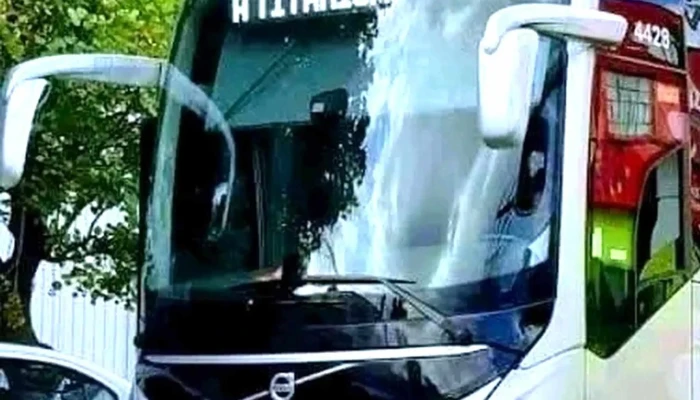 Autobuses Tla Titanium Terminal Comitan Videos - Comitán de Domínguez