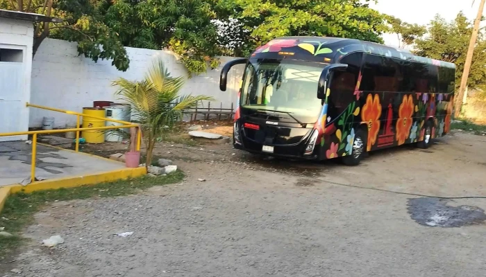 Autobuses Trail Travel Terminal Salina Cruz -  Opiniones - Salina Cruz