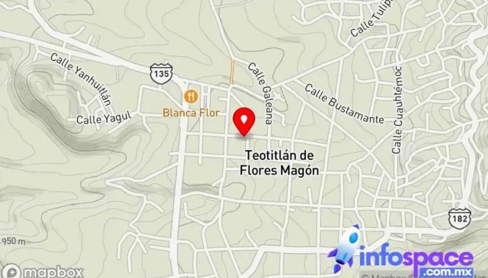 mapa de Autobuses Unidos AU Empresa de autobuses en Teotitlán de Flores Magón