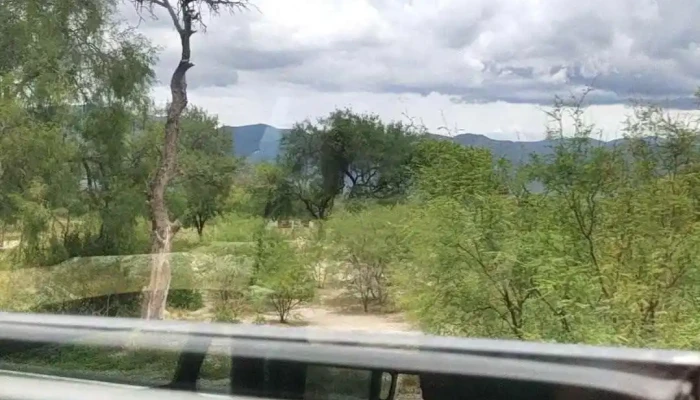 Autobuses Unidos Au -  Videos - Teotitlán de Flores Magón