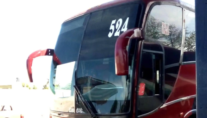 Autotransportes De Guasave -  Promocion - Guasave