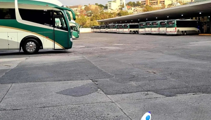 Autotransportes De Pasajeros Flecha Roja -  Barcelona Bus Turistic - Álvaro Obregón, Ciudad de México